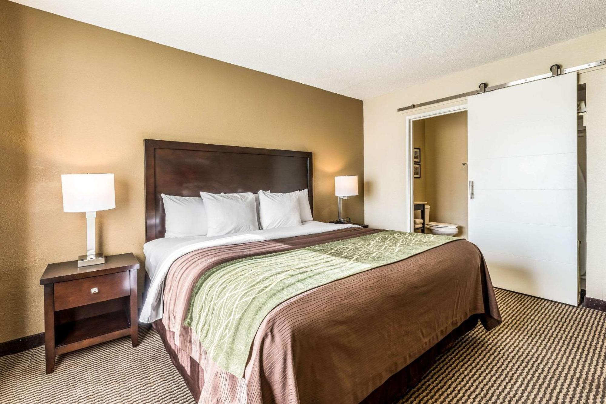 Comfort Inn Downtown Detroit Esterno foto